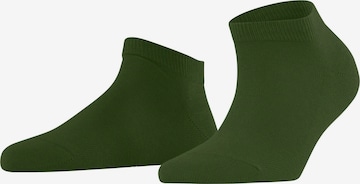FALKE Ankle Socks 'Family' in Green: front
