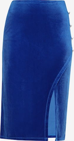 faina Nederdel i blå: forside