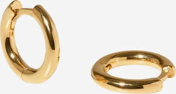 Stilnest Earrings in Gold: front