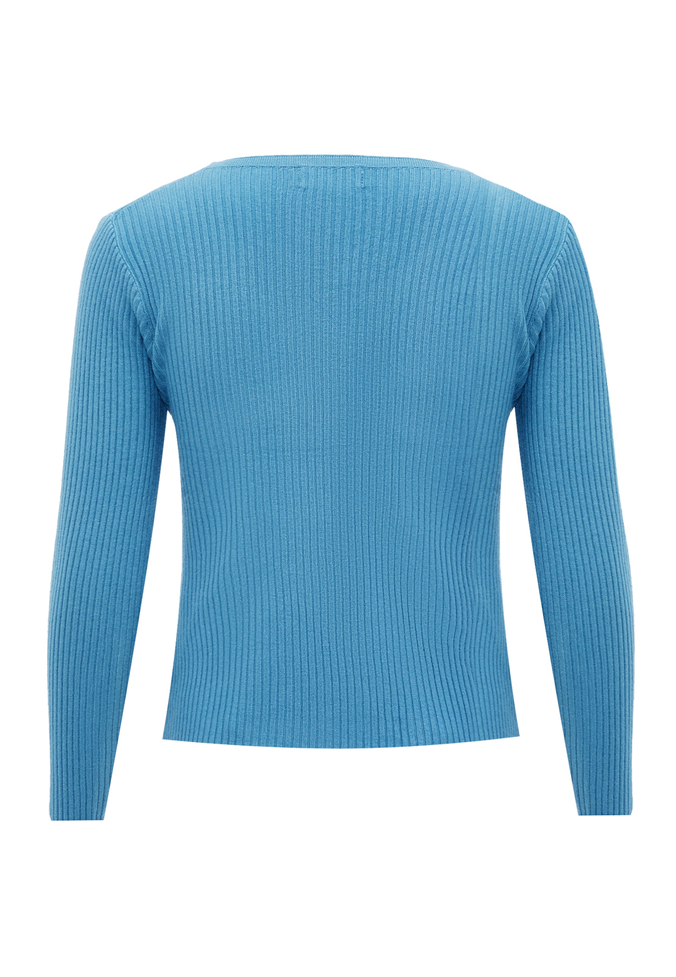 leo selection Sweater in Blue
