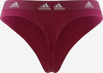 ADIDAS SPORTSWEAR Sportunterhose in Rot