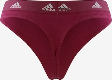 ADIDAS SPORTSWEAR Athletic Underwear in Red