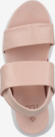 ILC Strap Sandals in Pink