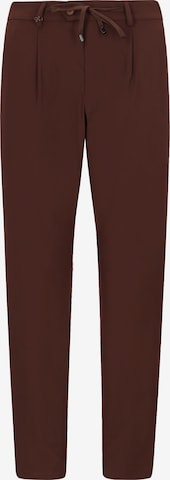 Pantaloni con pieghe 'Rio Pence' di Distretto12 in marrone: frontale