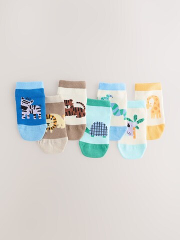 Next - Calcetines en Mezcla de colores