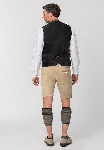 STOCKERPOINT Klederdracht gilet 'Dino' in Groen