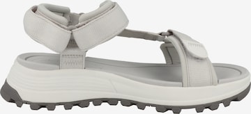 Sandales de randonnée CLARKS en blanc