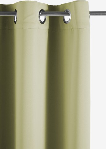 OTTO products Curtains & Drapes in Green