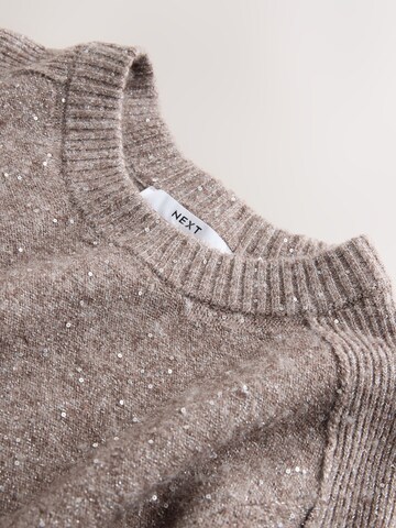 Next Pullover in Beige