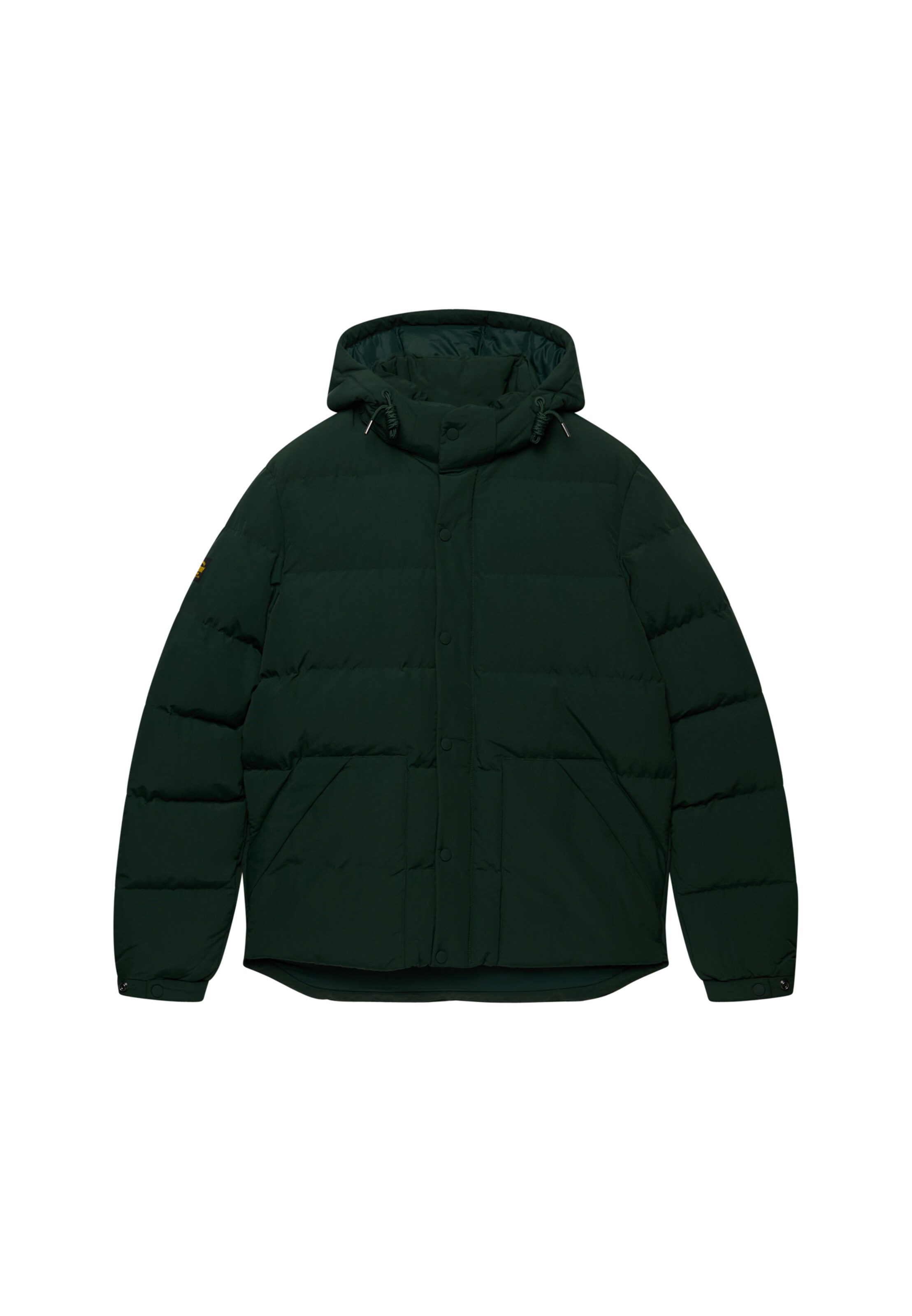 Veste d’hiver 'Everest' Superdry & Co en vert : devant