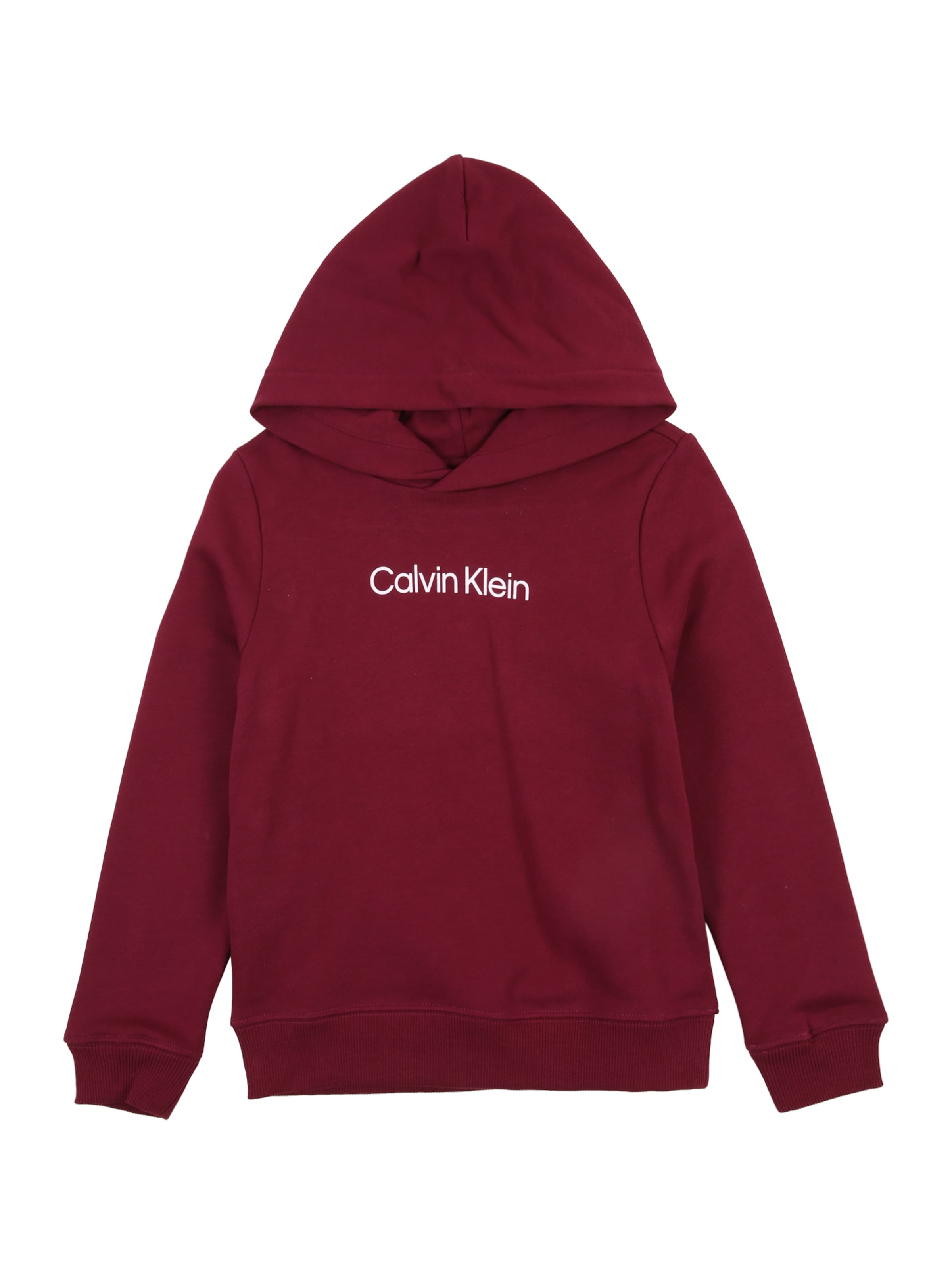 Calvin Klein Jeans Sweatshirt in Purple: front
