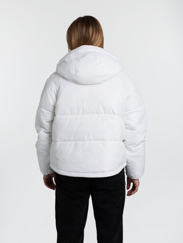 Tommy Jeans Winter Jacket 'Vail' in White