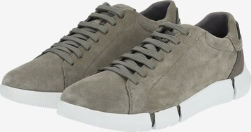 GEOX Sneakers laag in Groen