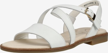 Sandales à lanières Paul Green en blanc : devant