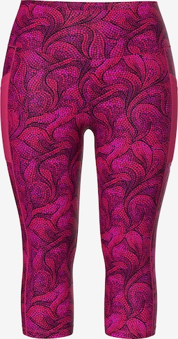 Ulla Popken Leggings in Pink: Vorderseite