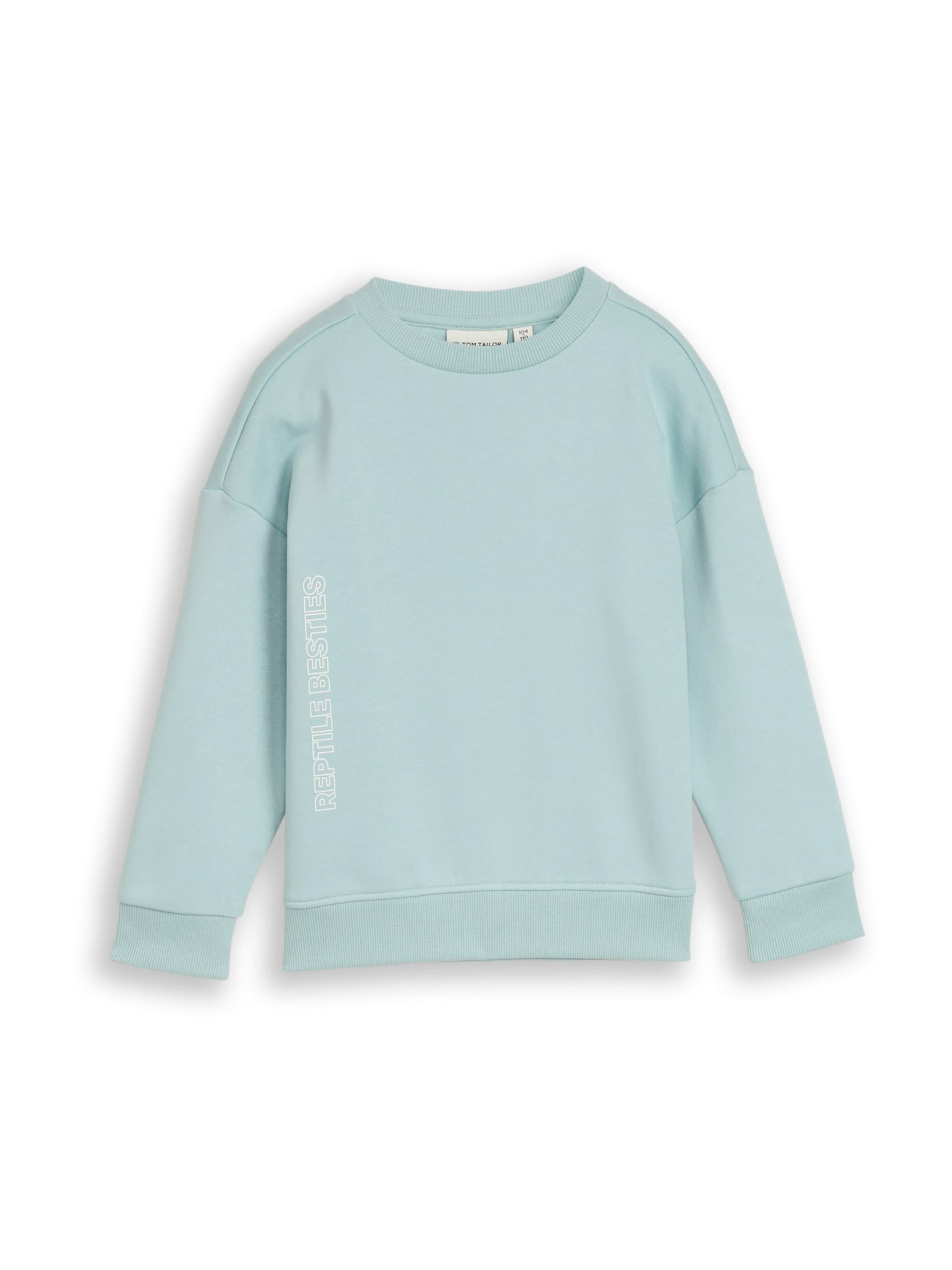 TOM TAILOR Sweatshirt in Blue: front