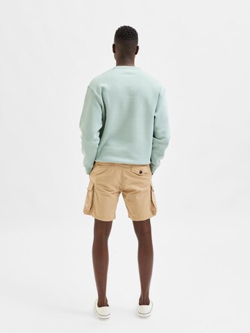 SELECTED HOMME Regular Shorts 'Nevis' in Braun