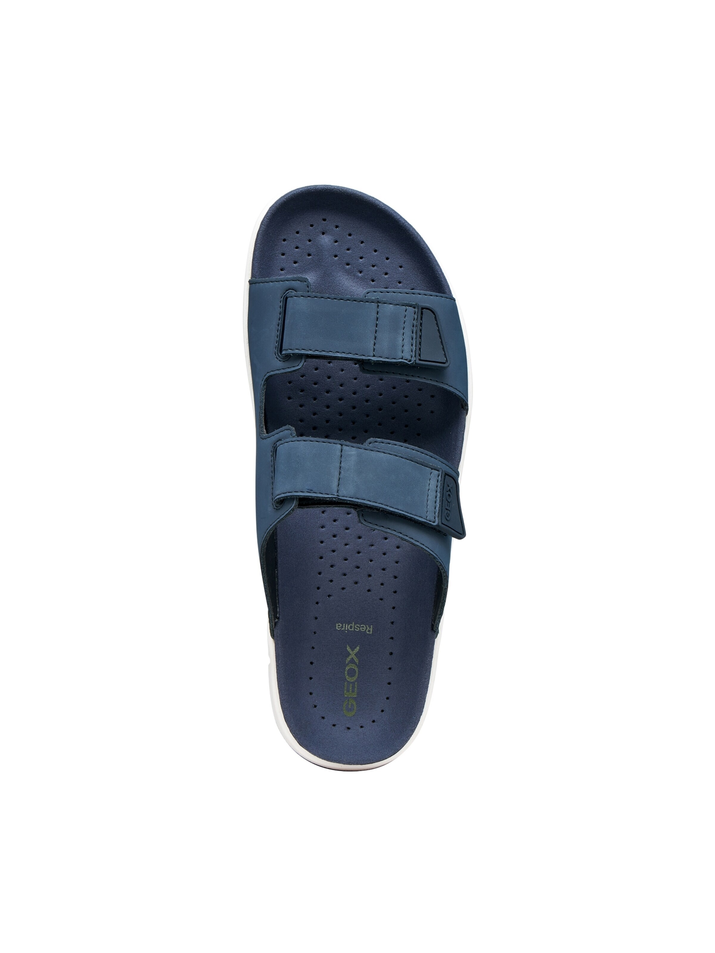 GEOX Pantolette‌‌‌‌‌‌‌‌‌ in Blau