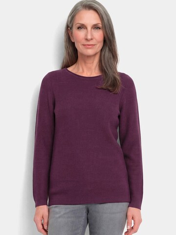 Goldner Sweater in Purple: front