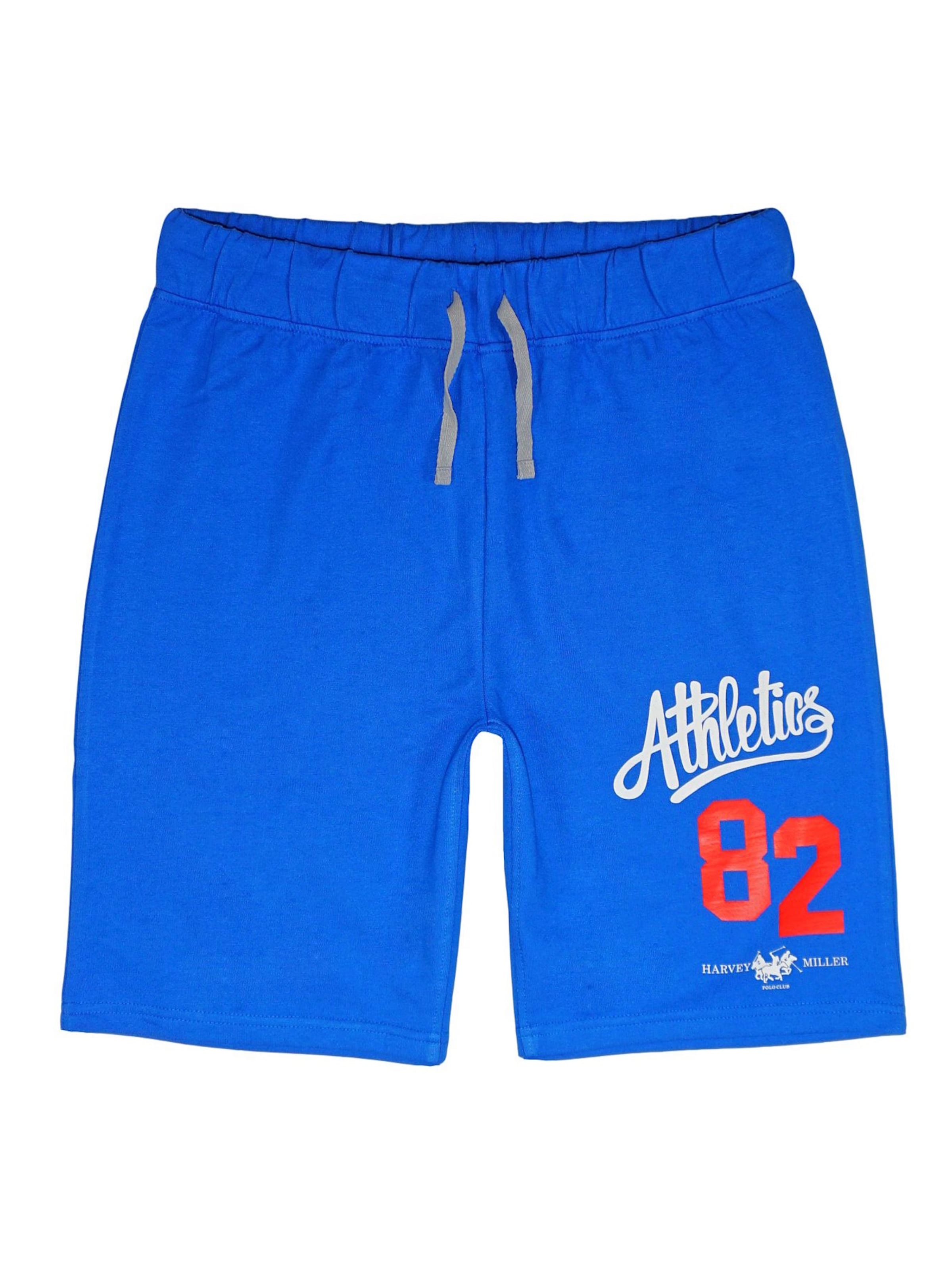 regular Pantaloni 'ATHLETICS 82' di HARVEY MILLER in blu: frontale