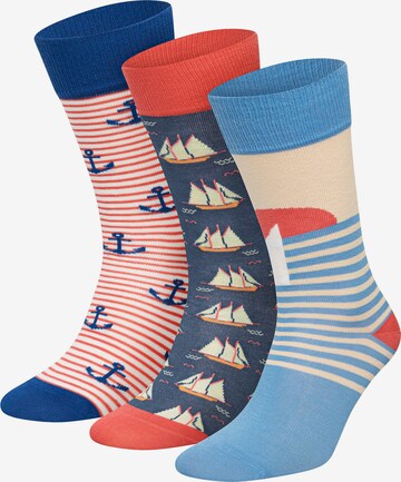 DillySocks Socks 'Aye Aye Captain!' in Mixed colors: front
