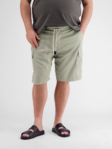 LERROS Regular Trousers in Green