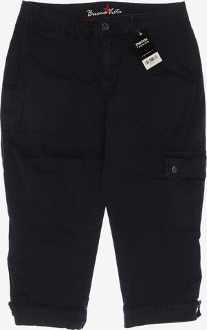 Buena Vista Pants in XL in Blue: front