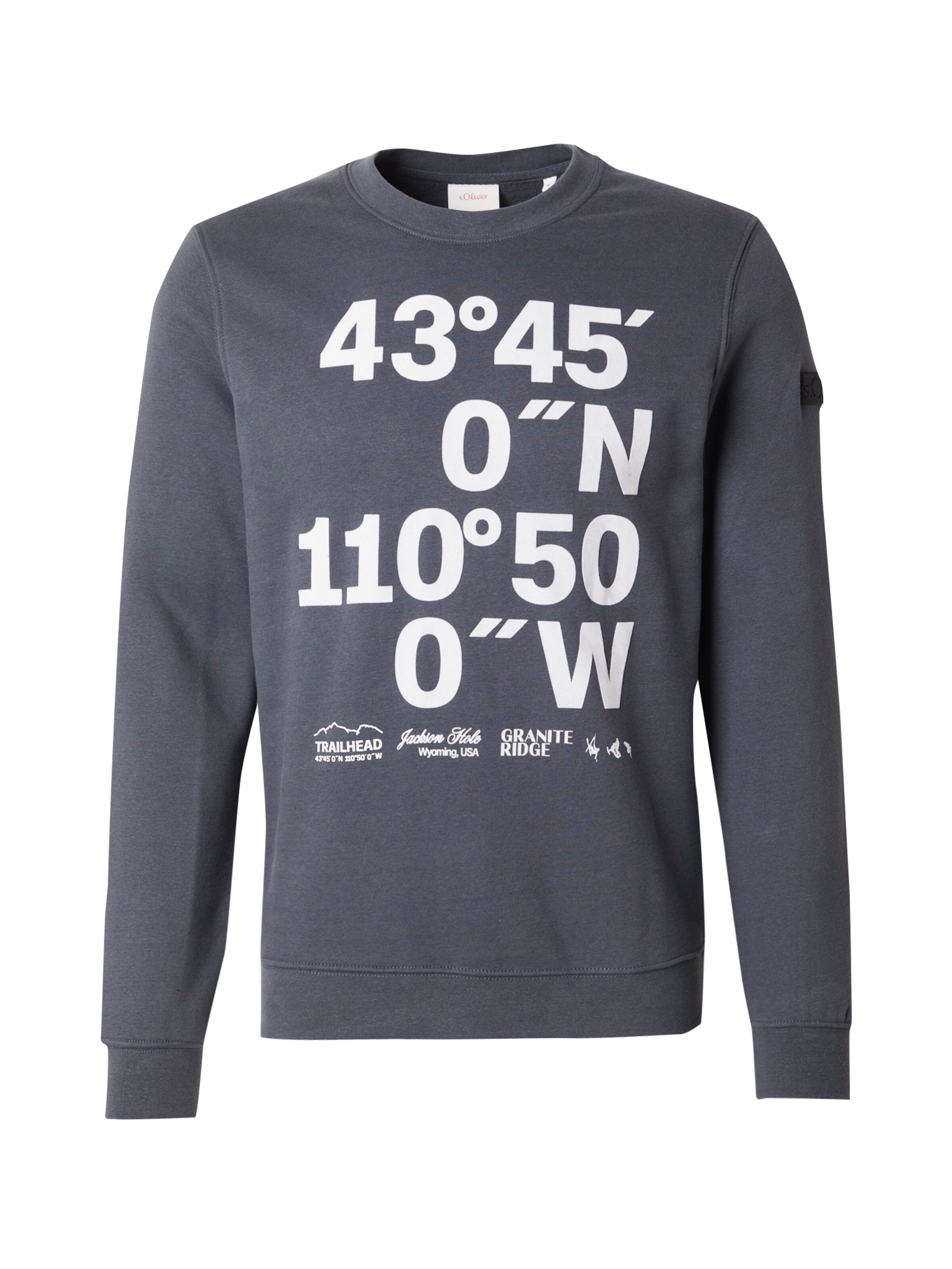 Sweat-shirt s.Oliver en gris : devant