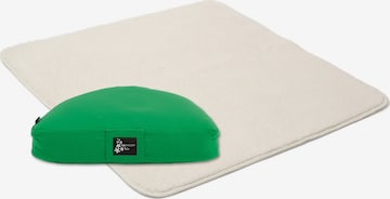 YOGISTAR.COM Mat in Green: front