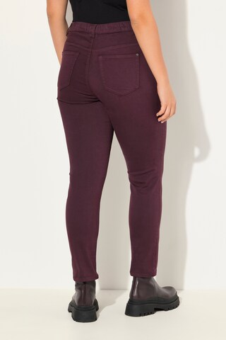 Ulla Popken Slimfit Broek in Lila