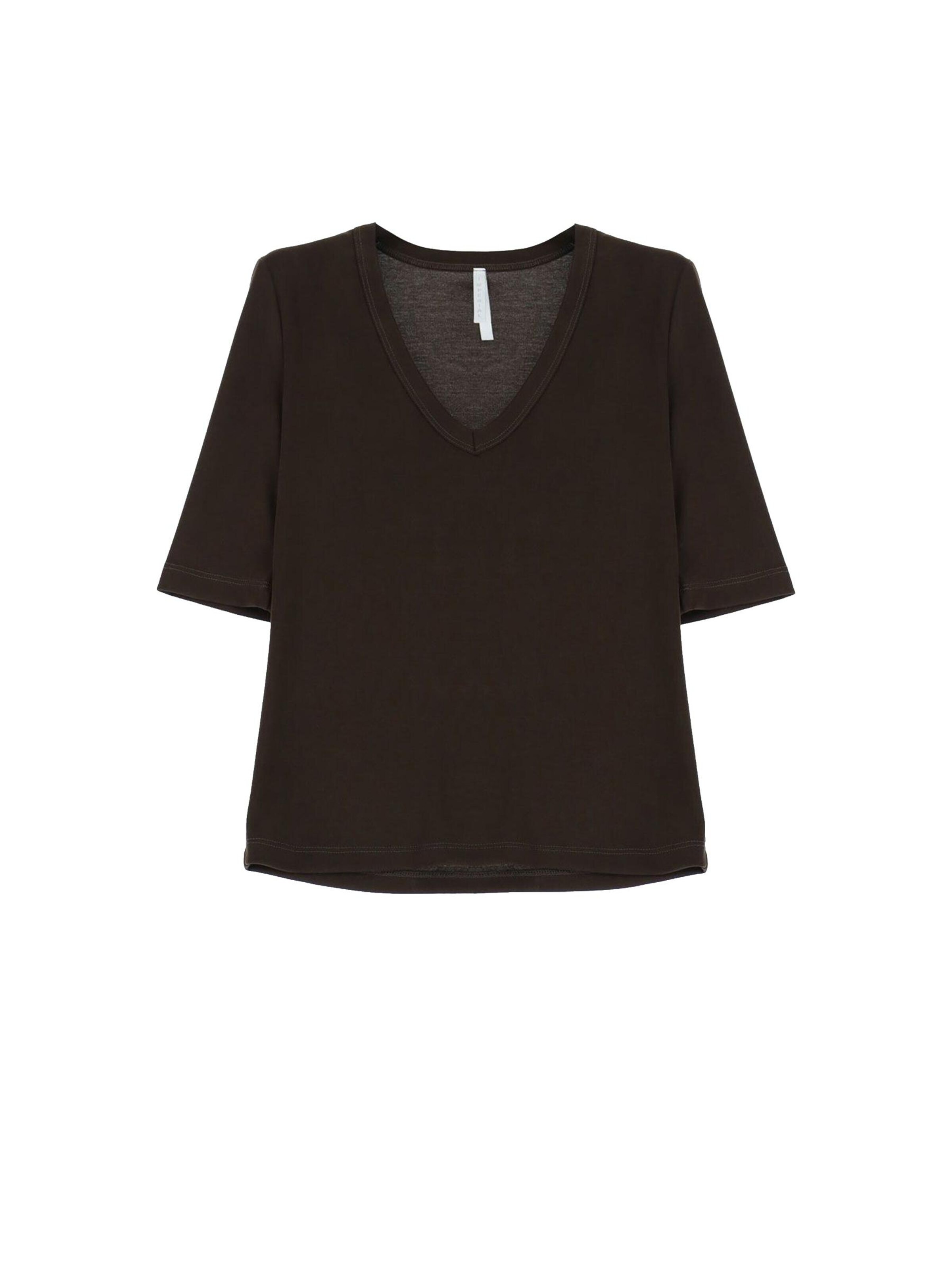 IMPERIAL Shirt 'IMPERIAL T-SHIRT' in Brown: front
