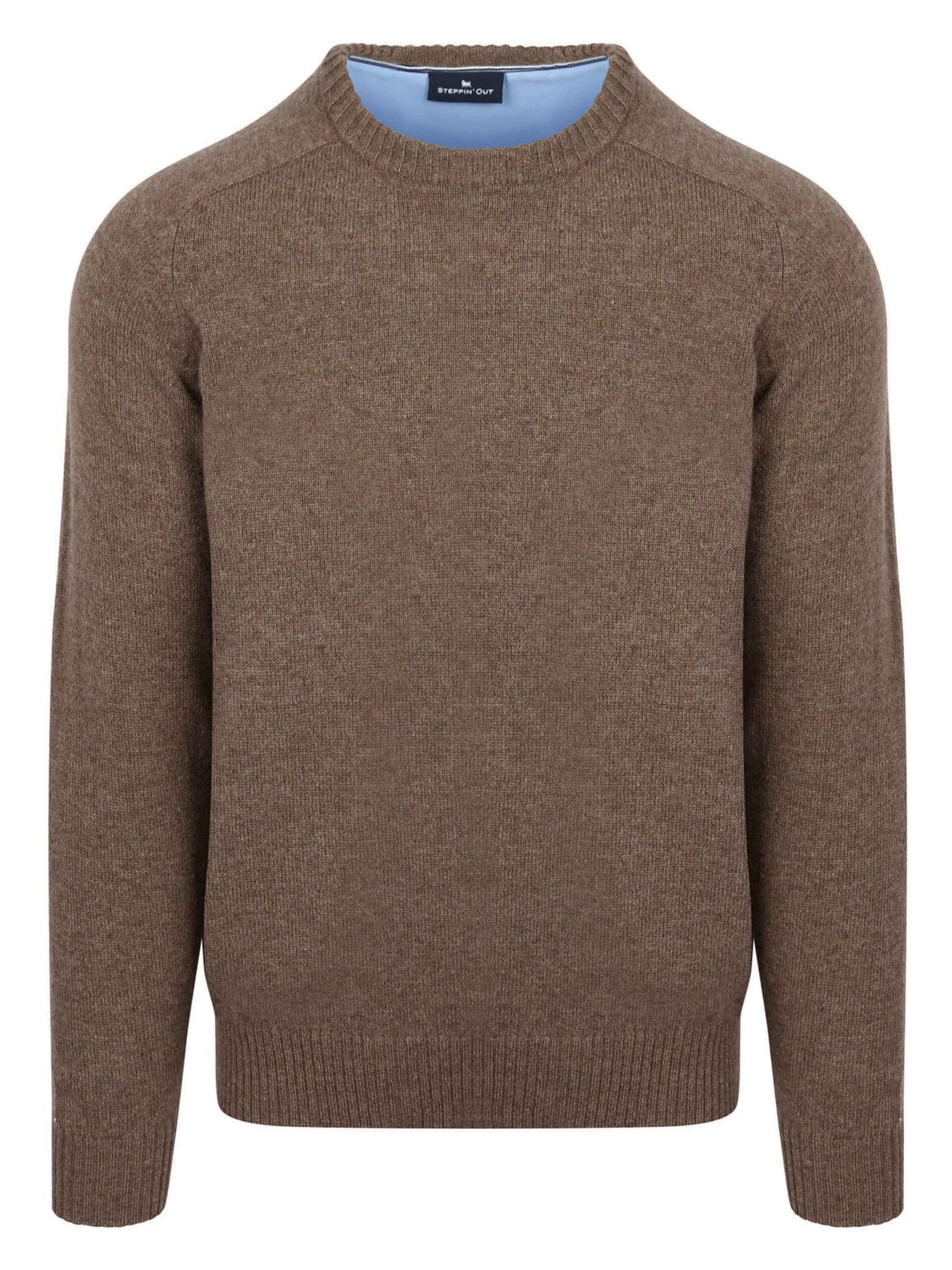Steppin' out Shirt in Brown: front