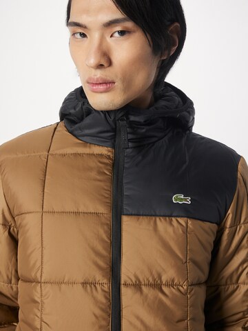 LACOSTE Winter jacket in Brown