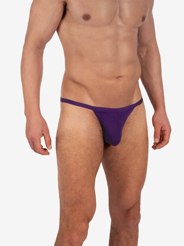 Olaf Benz Panty 'Riotanga' in Purple: front