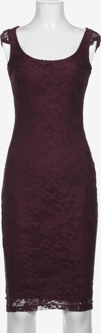 Dorothy Perkins Kleid XS in Rot: predná strana