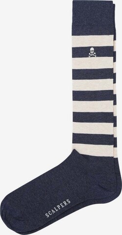 Scalpers Ponožky – modrá: přední strana