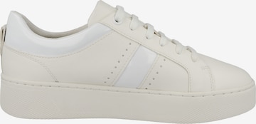 GEOX Sneaker 'Skyely' in Beige