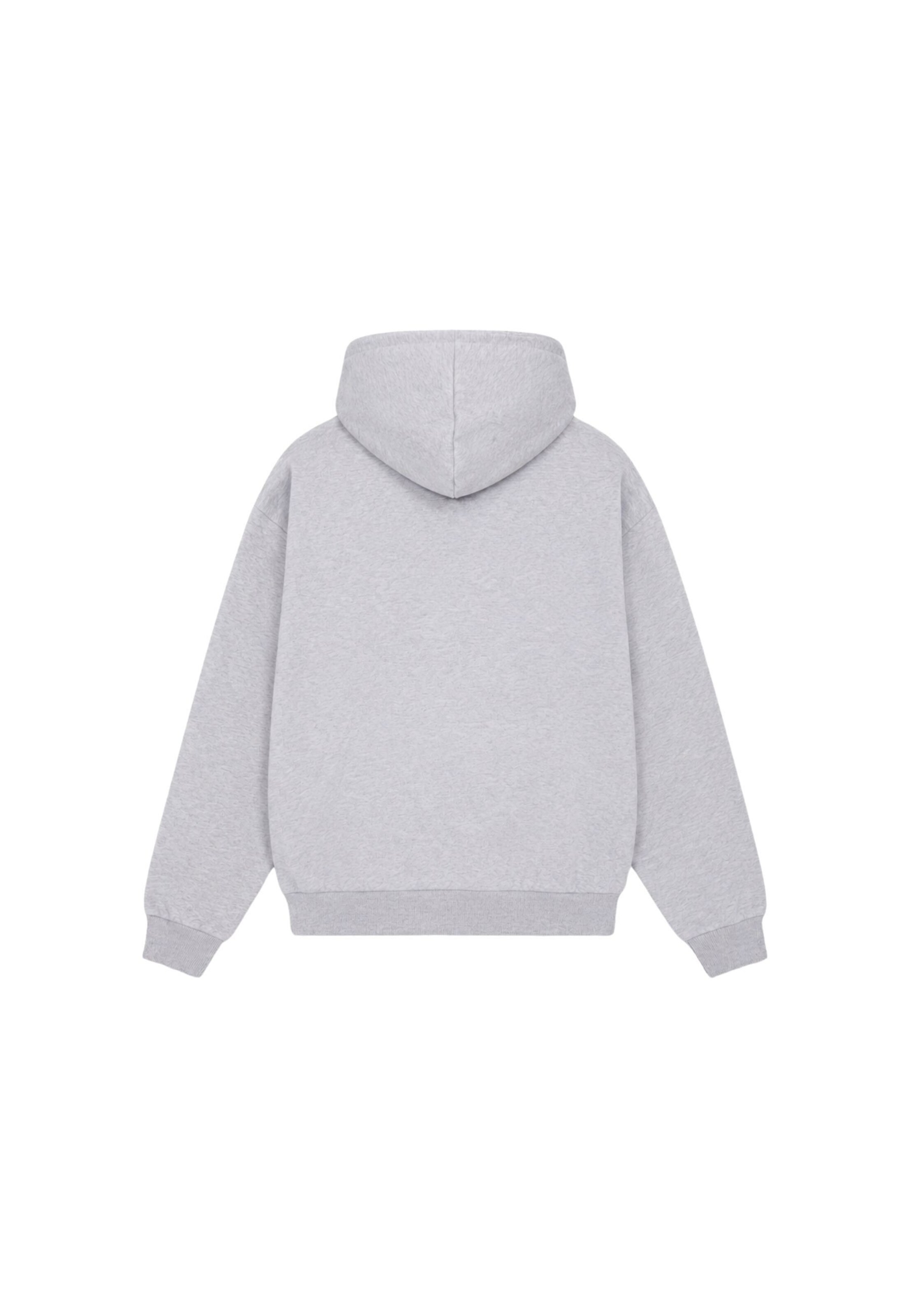 Colucci Sweatshirt in Grey
