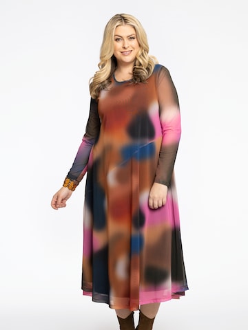 Yoek Dress in Mixed colors: front