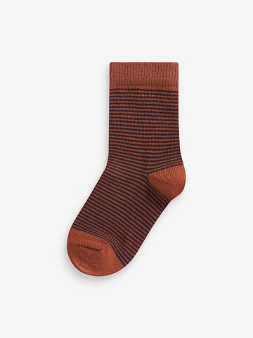 Chaussettes Next en mélange de couleurs