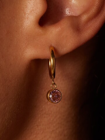 Lucardi Earrings 'Set' in Gold