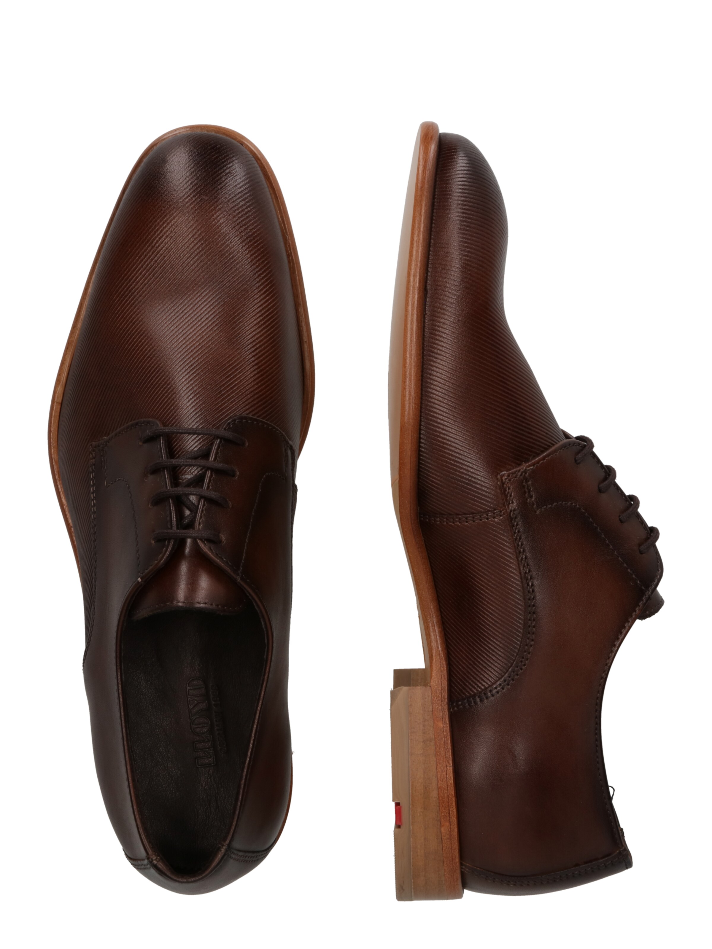 brūns LLOYD Kurpes ar šņorēm 'Saigon'