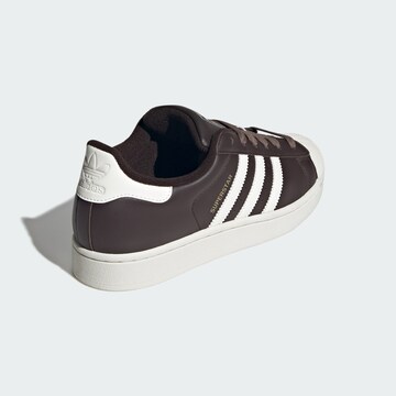 Baskets basses 'Superstar II' ADIDAS ORIGINALS en marron