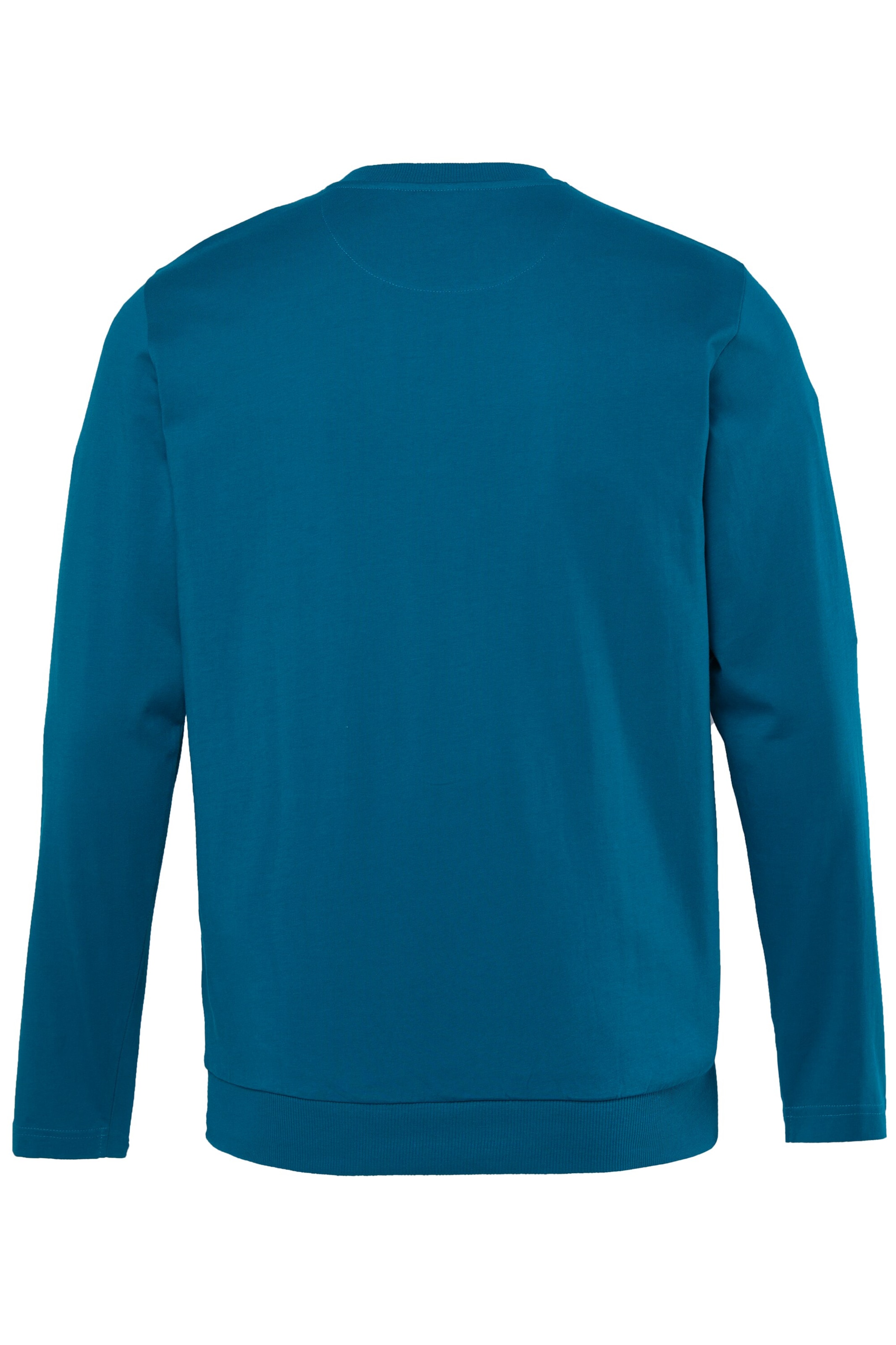 Men Plus Sweatshirt in Blau