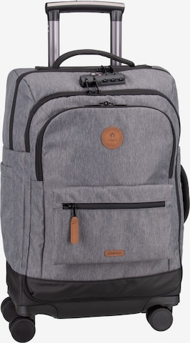Cabaia Cart in Grey: front