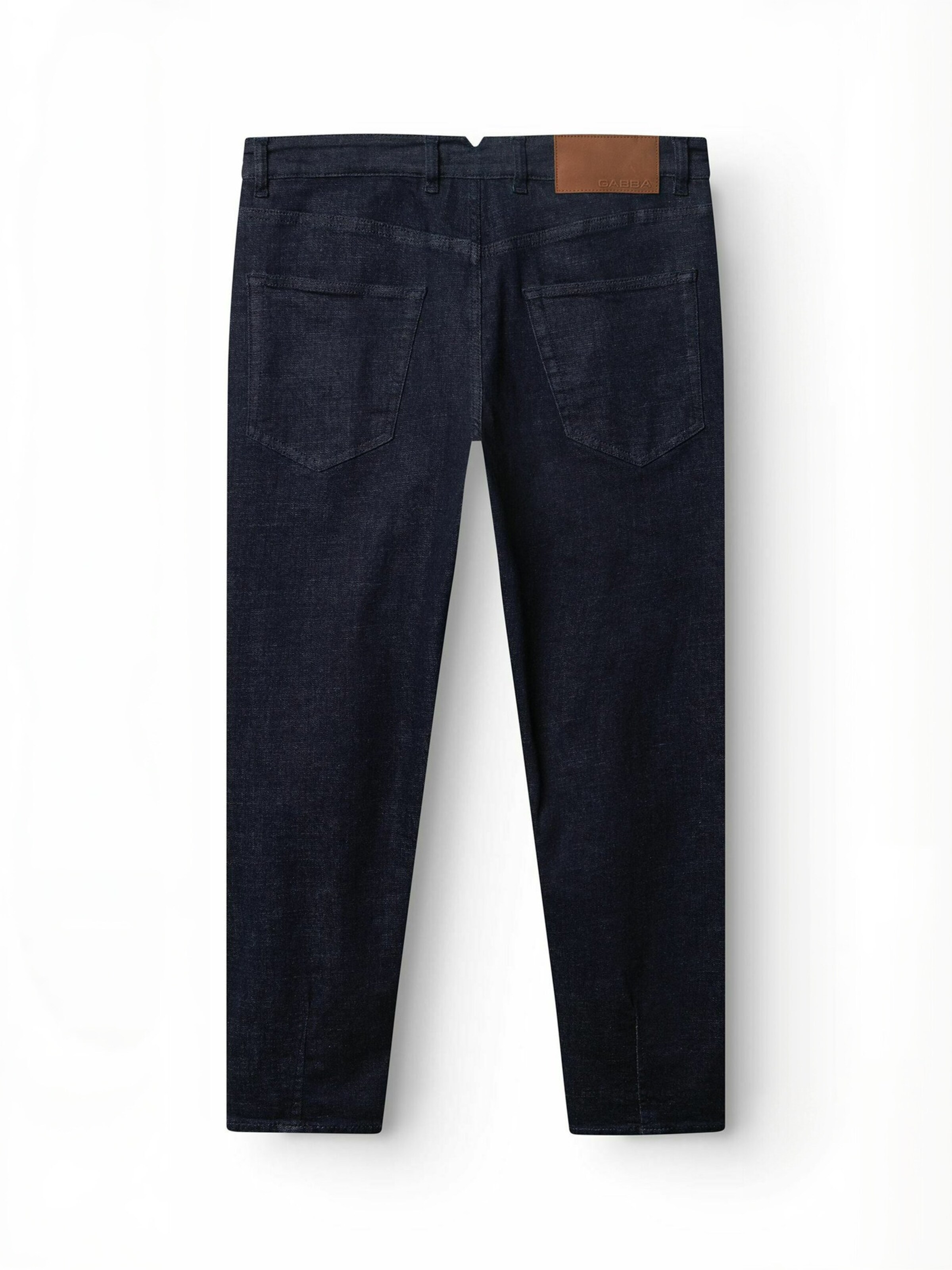 GABBA Regular Jeans ' GABalex ' in Blue: back