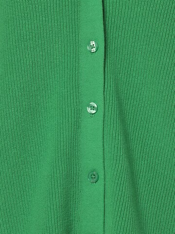 Franco Callegari Knit Cardigan in Green