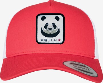 F4NT4STIC Cap in Red: front