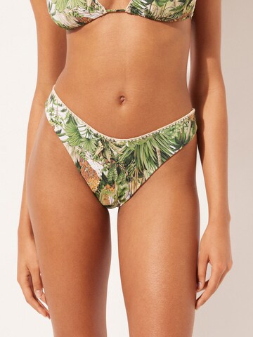 CALZEDONIA Bikinihose 'Savage Tropics' in Grün: predná strana