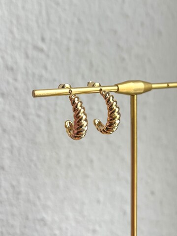 Kamakula Earrings 'Twisted Croissant' in Gold